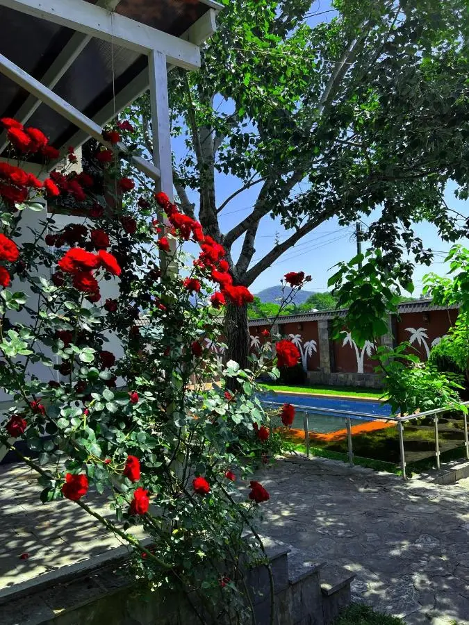 Qafqaz Fountain Villa