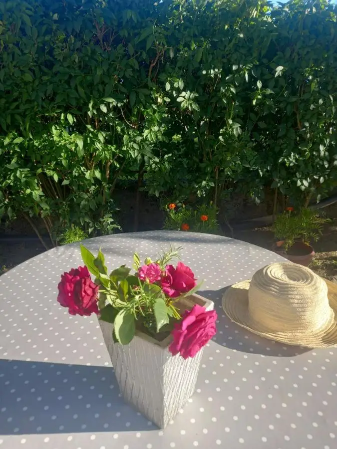 Studio apartman Nejra