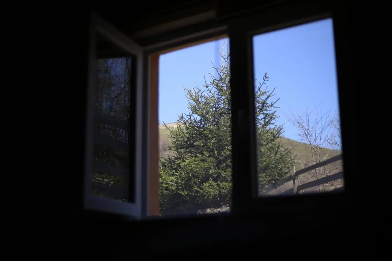 Forest Lodge on the Pyramid