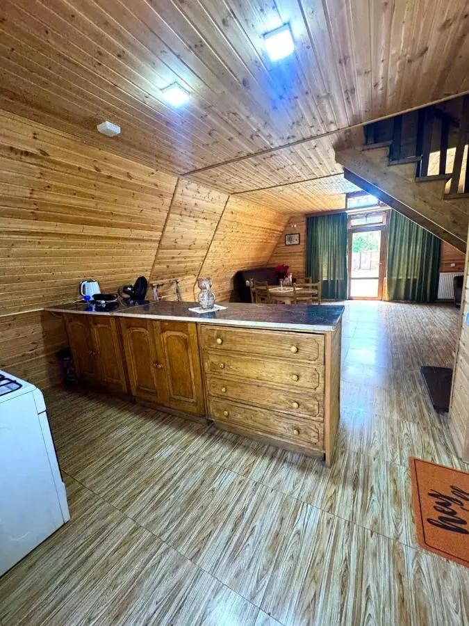 Forest hut