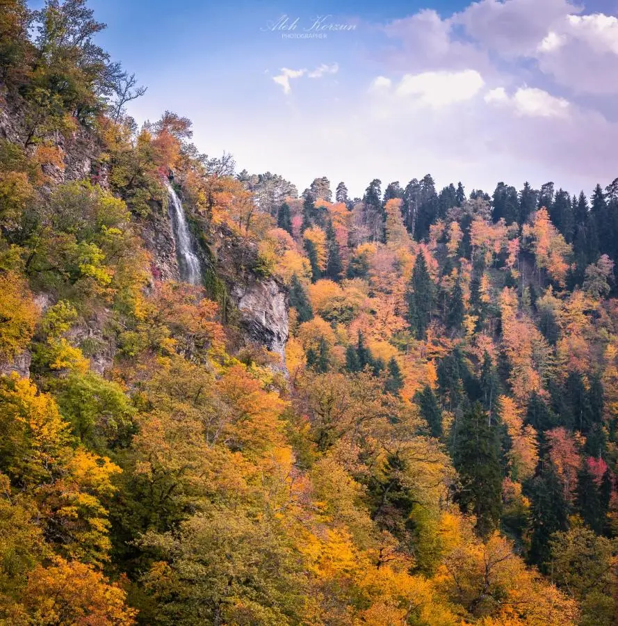 Day in Borjomi