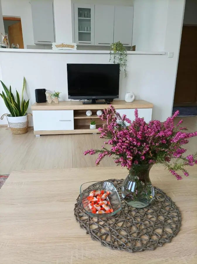 Dina apartman Jablaničko jezero