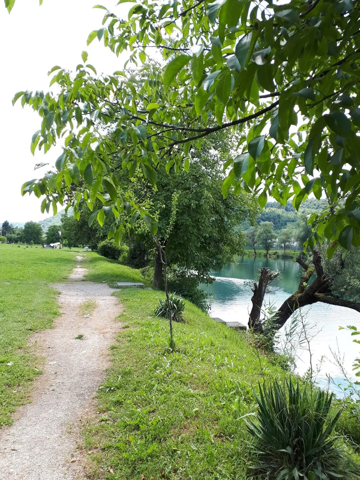 Vila Najla
