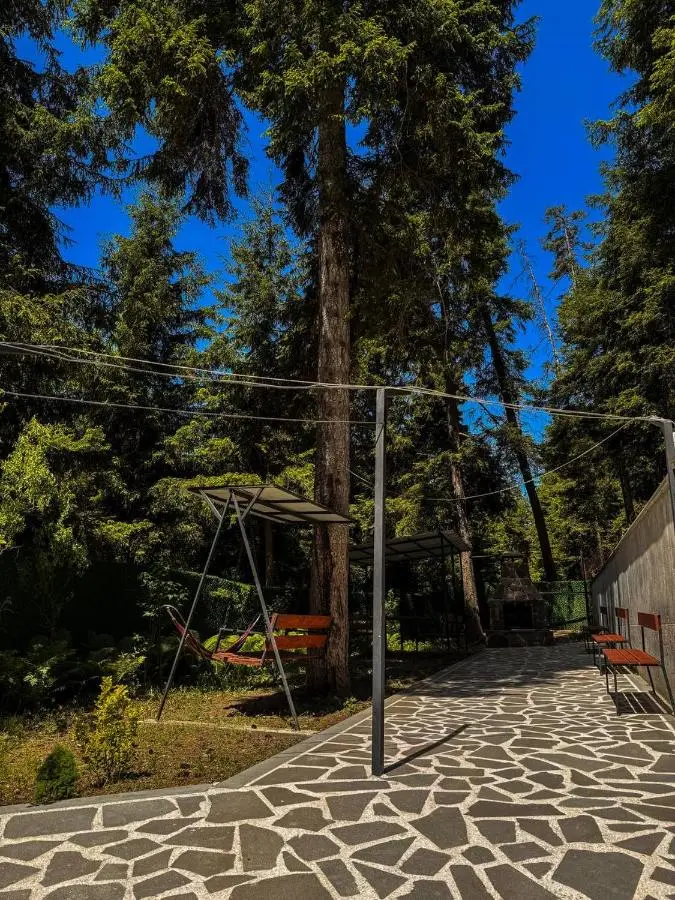 Hotel forest echo