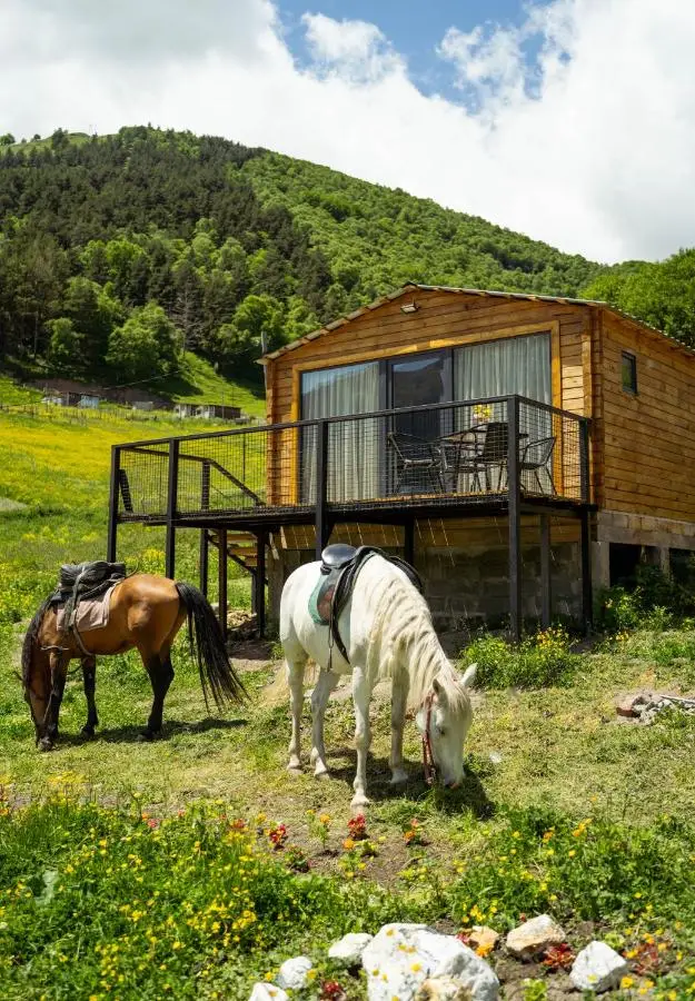 Cottage Mountain crystal kazbegi