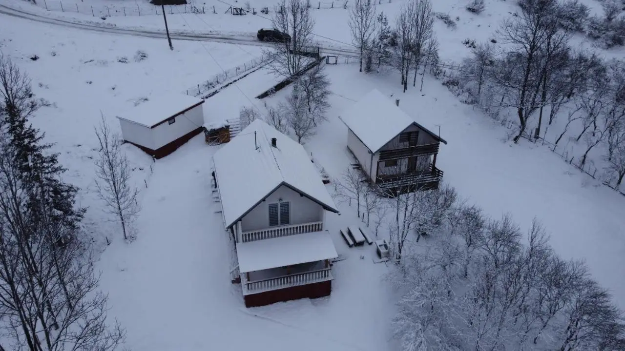 Vlasic holiday home