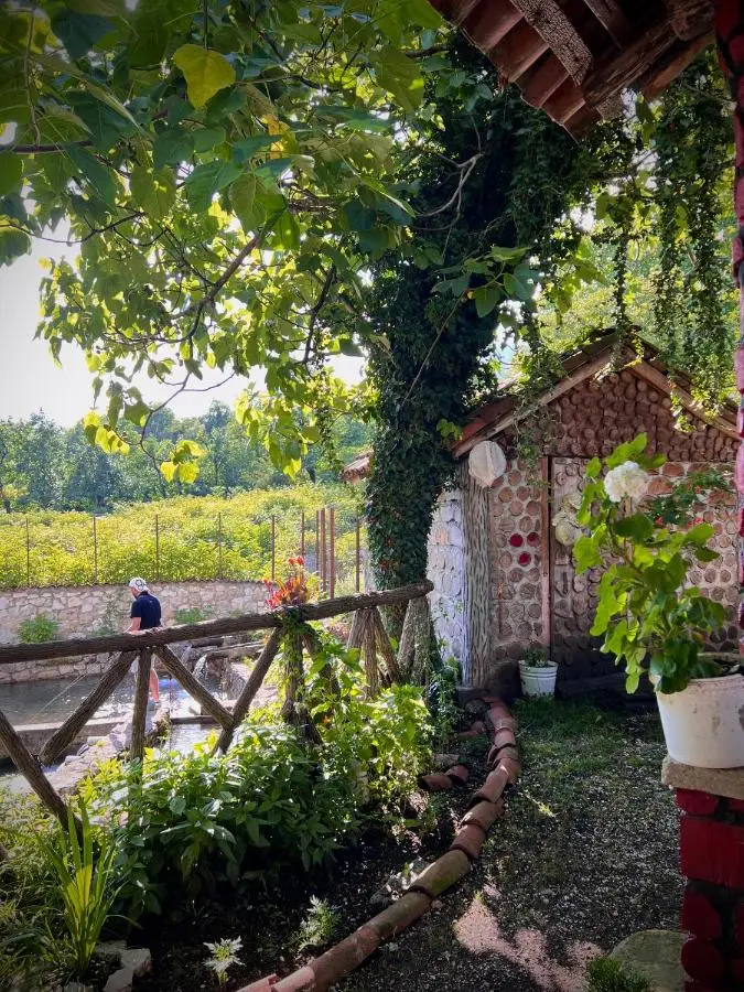 Cottage ,,Okatsia” ოკაციას კოტეჯები