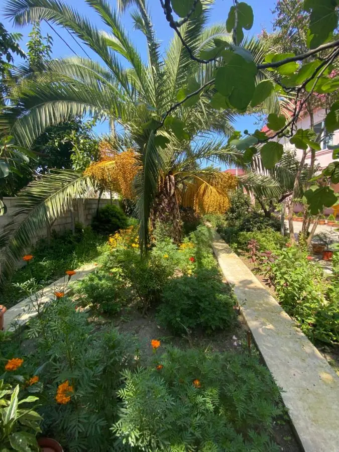 Villa Jakos Paradise