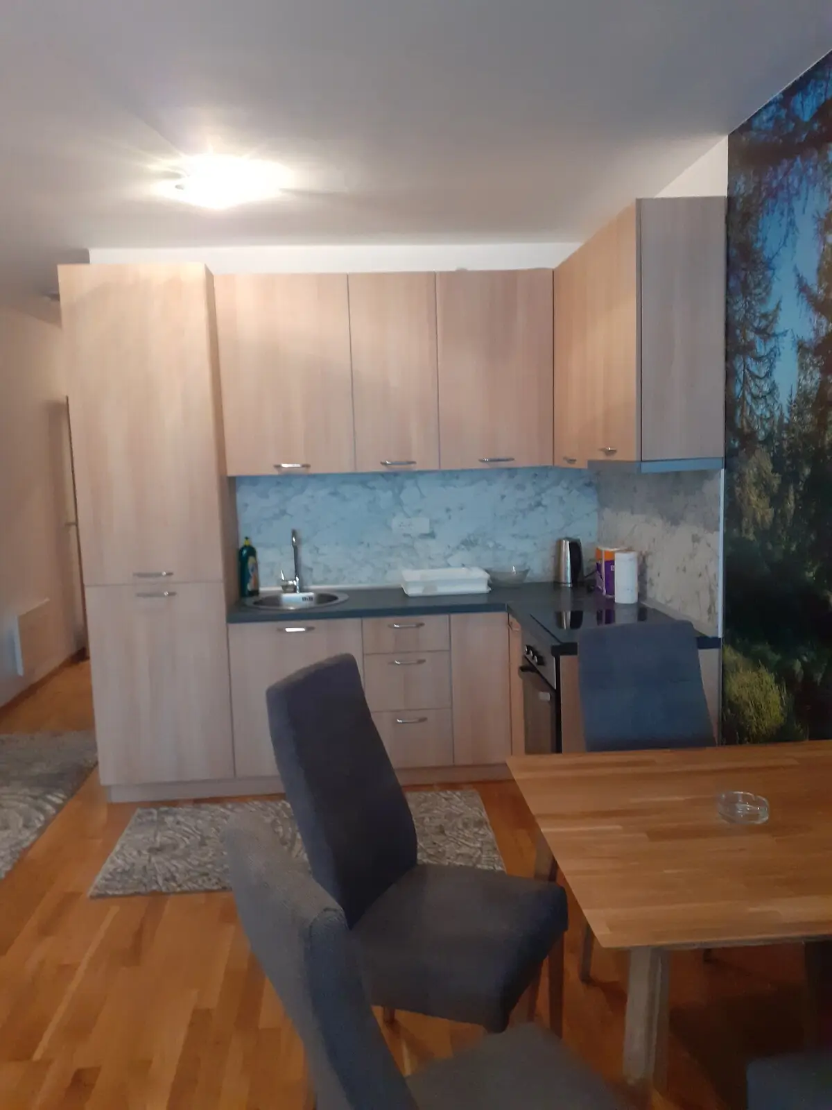 Snjeuljica Bjelasnica Suite