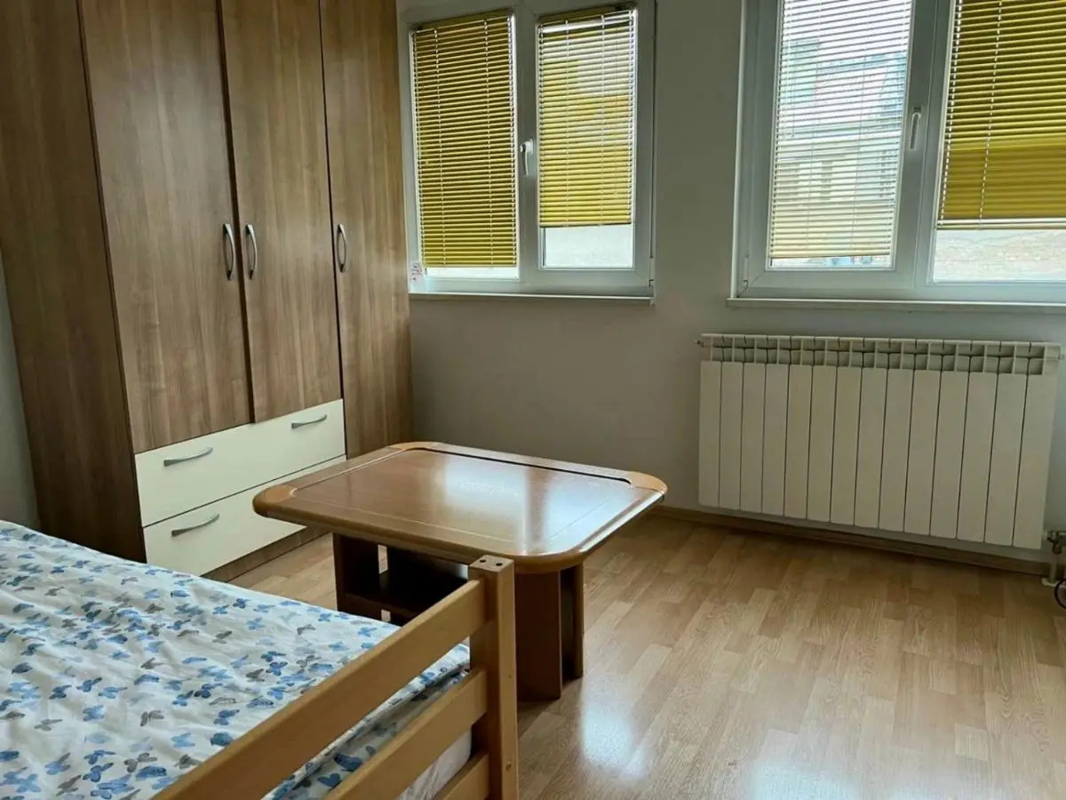 Homy apartment in city center Marijin Dvor