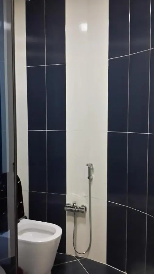 Deluxe apartment in Baku