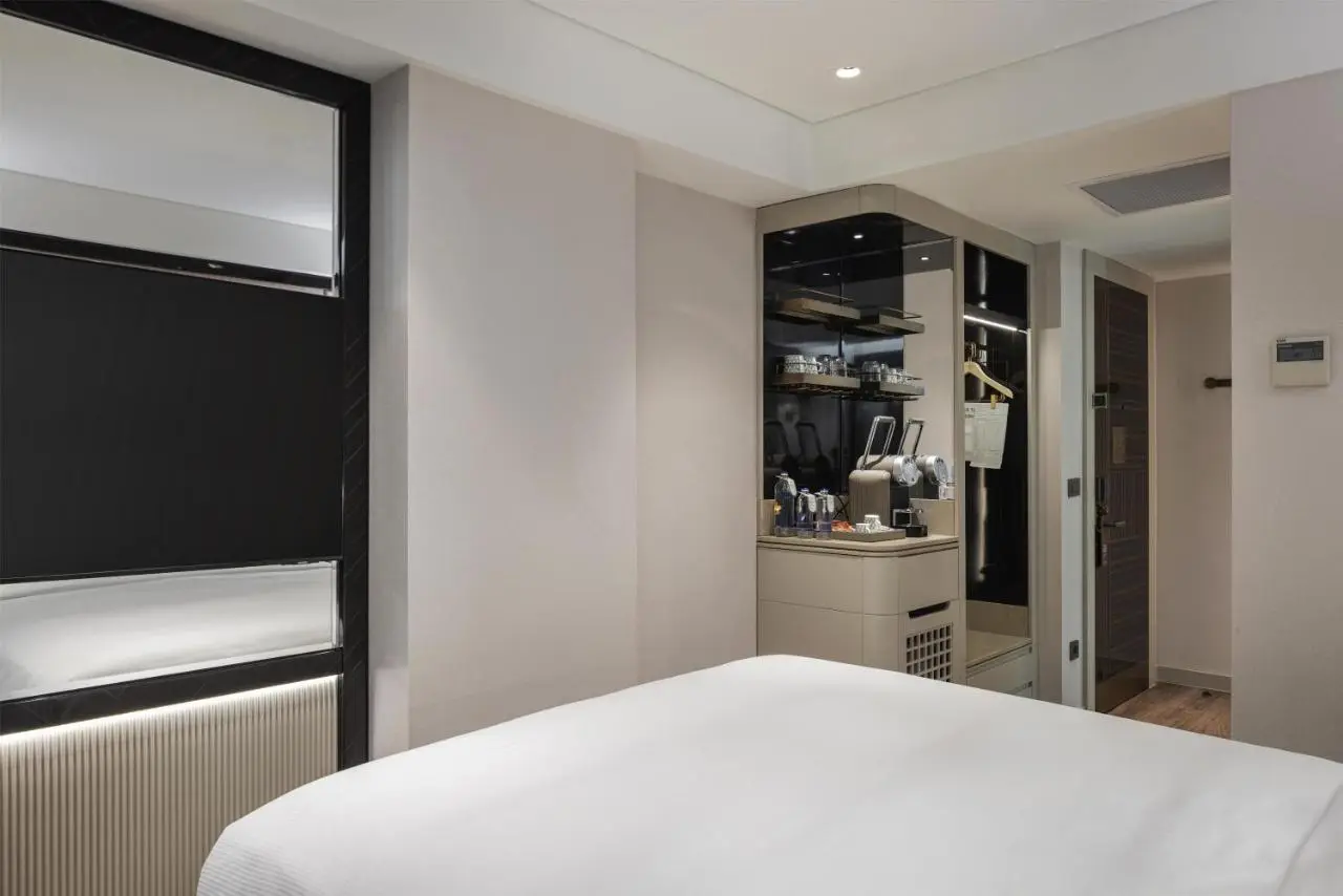 The Ritus Hotel Istanbul Sultanahmet, Tapestry Collection by Hilton