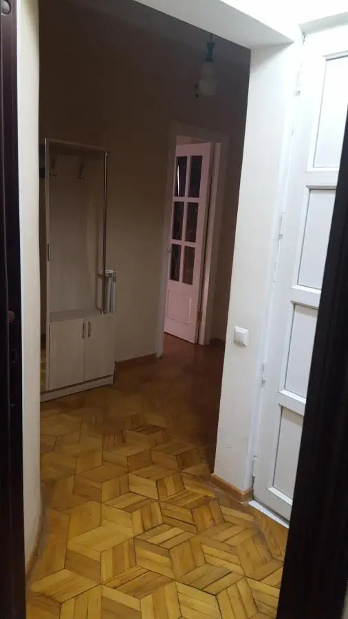 Apartment on Botanikuri
