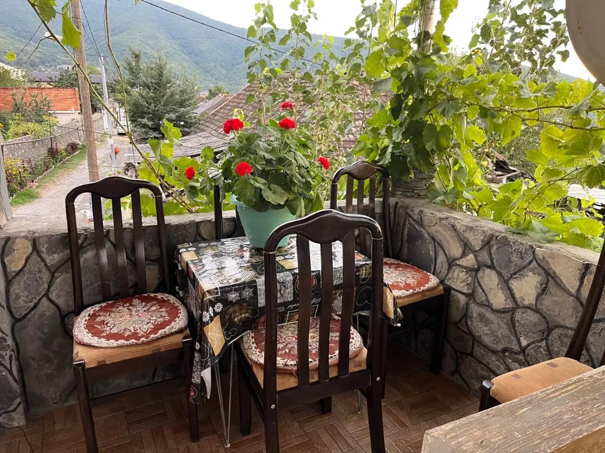 Sheki Modern Guest Home