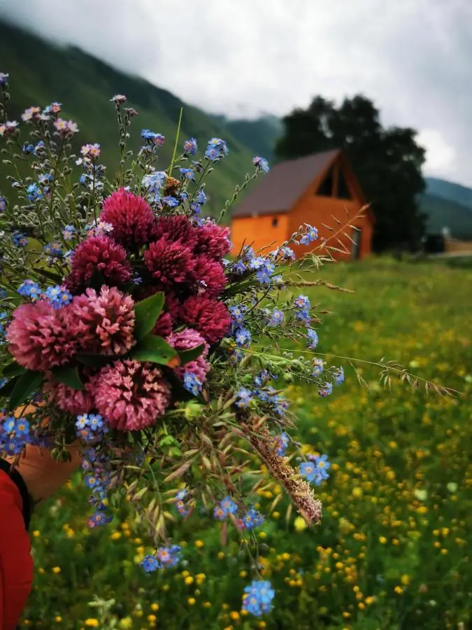 Kazbegi Mountain Cottage MTA-Shi