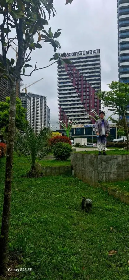 Batumi Alea