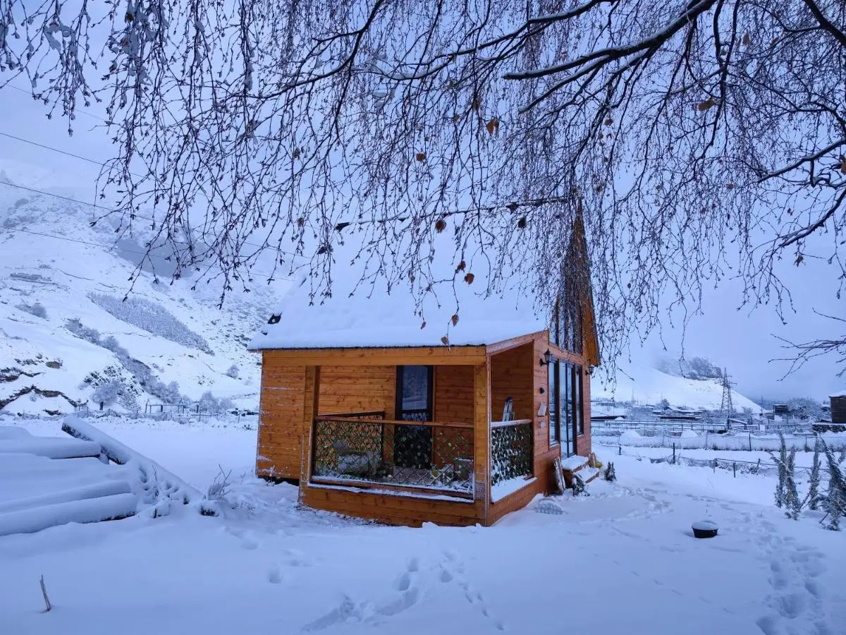 Kazbegi Mountain Cottage MTA-Shi