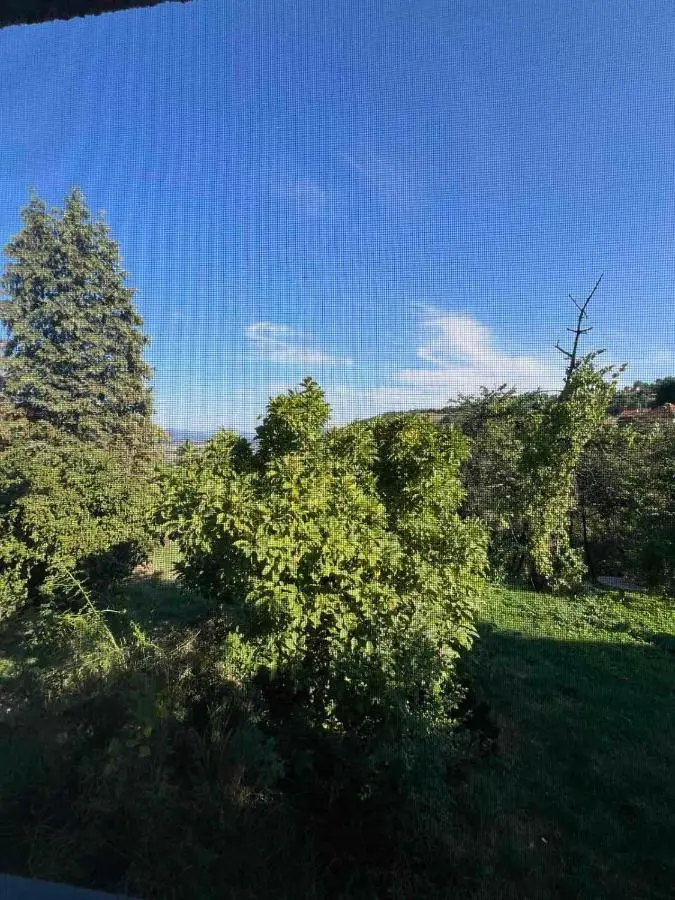 Travnik Nature
