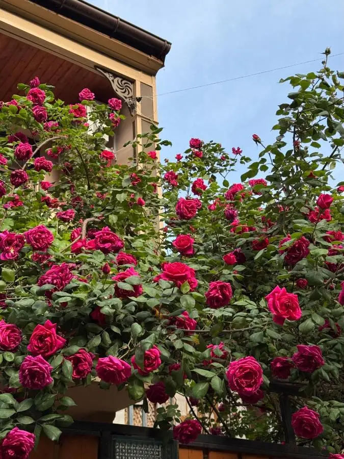 Hotel "Tbilisi Tales" in the heart of the Old City