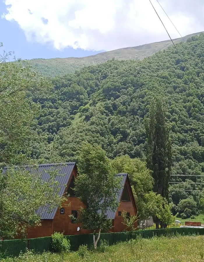 Panorama cottages Kazbegi