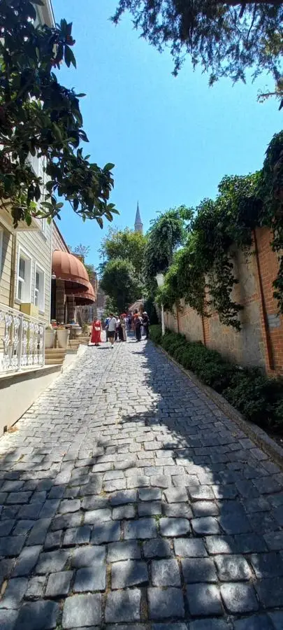 Coskun House