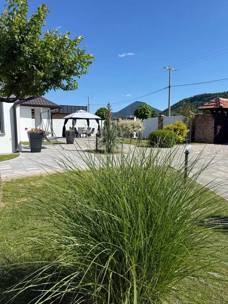Hadzal's courtyard