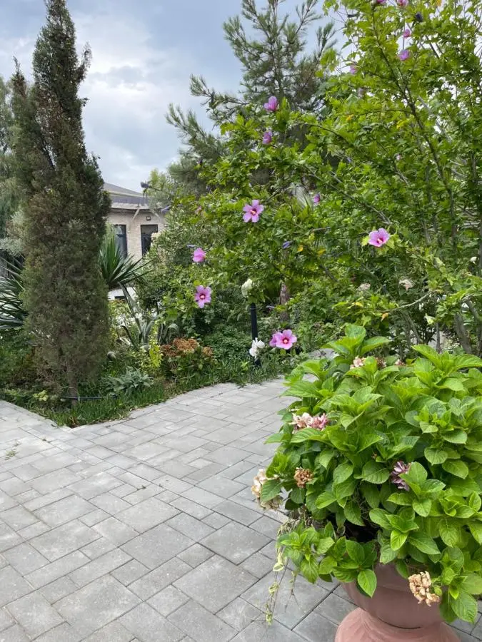 Baku White Villa