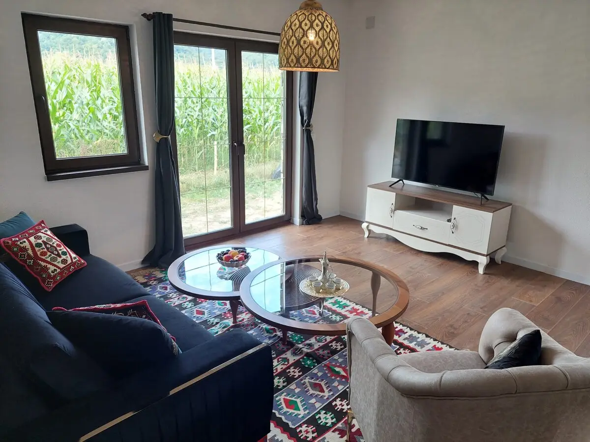 Bosnian house Emina