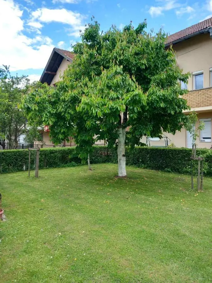 Apartment Ramdedovic1