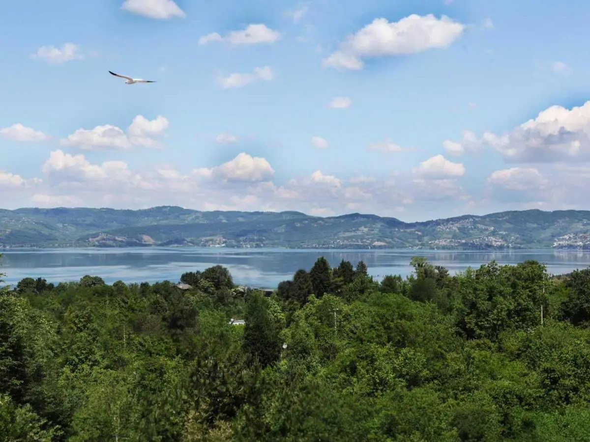Sapanca Kırsal Silence