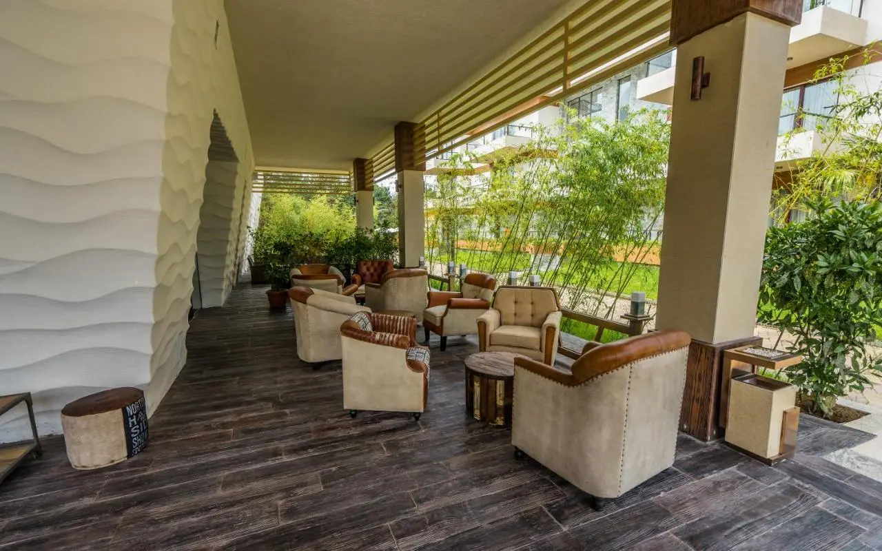 Dream Land Oasis