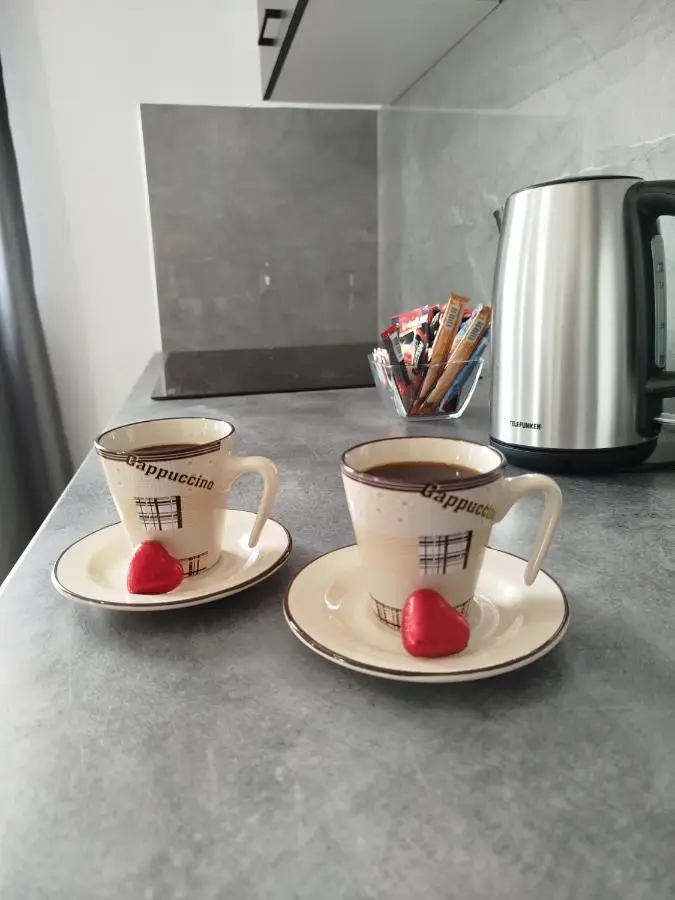 Apartman David