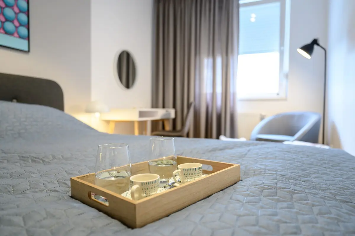 Lux & Cozy home in Sarajevo
