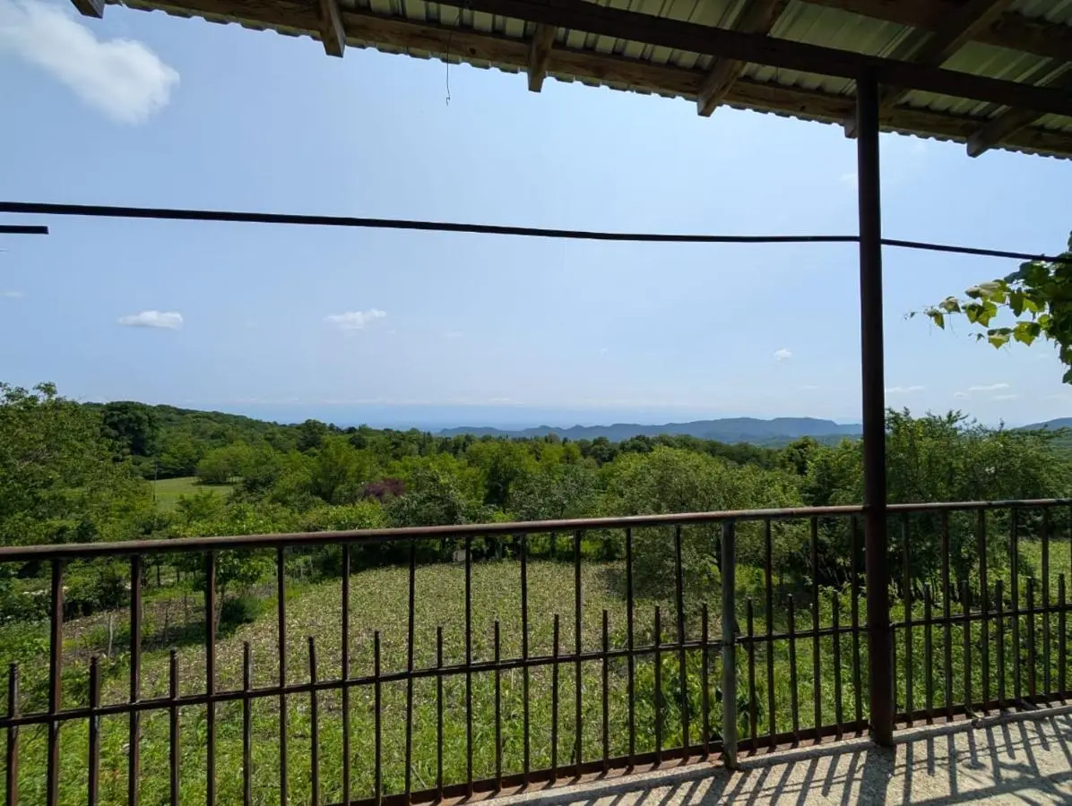 Guest House Roba