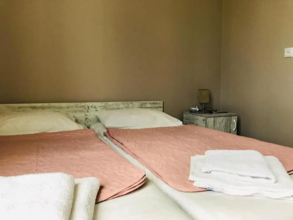 Guest House Check in Borjomi
