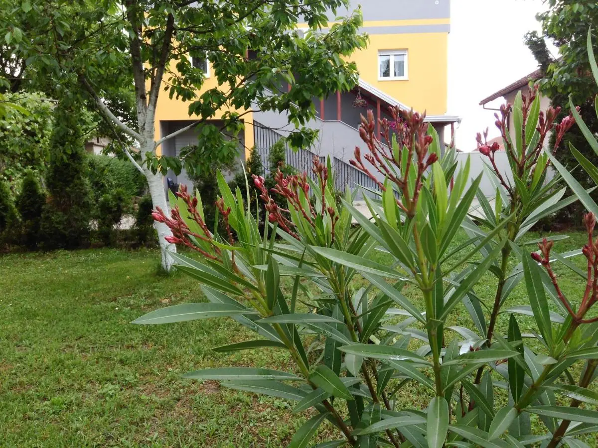 Apartmani Jasmina 2