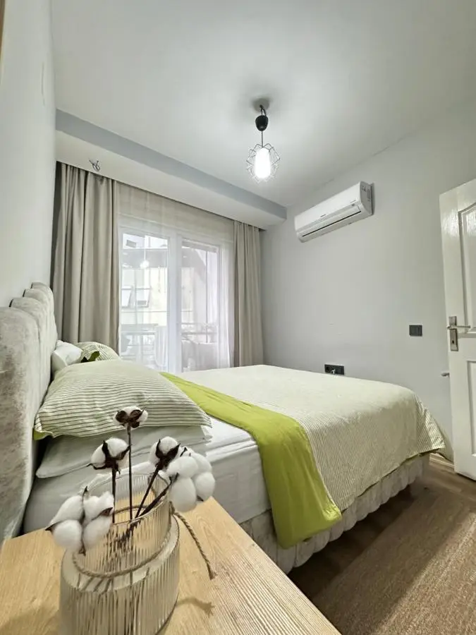 merkezde 2 odalı minimalist ev