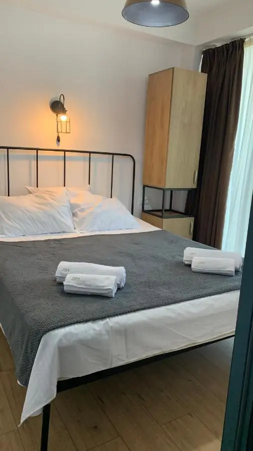 Bakuriani art apart hotel 203