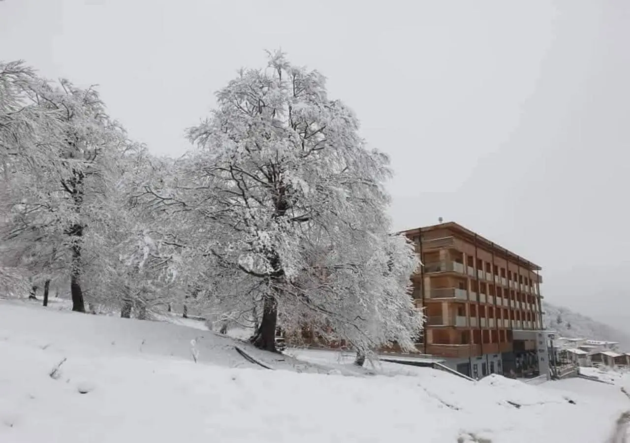 Bakuriani Valley 10