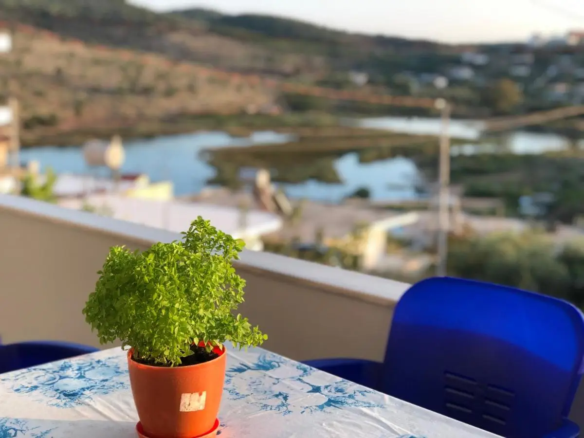 Green Garden Villa