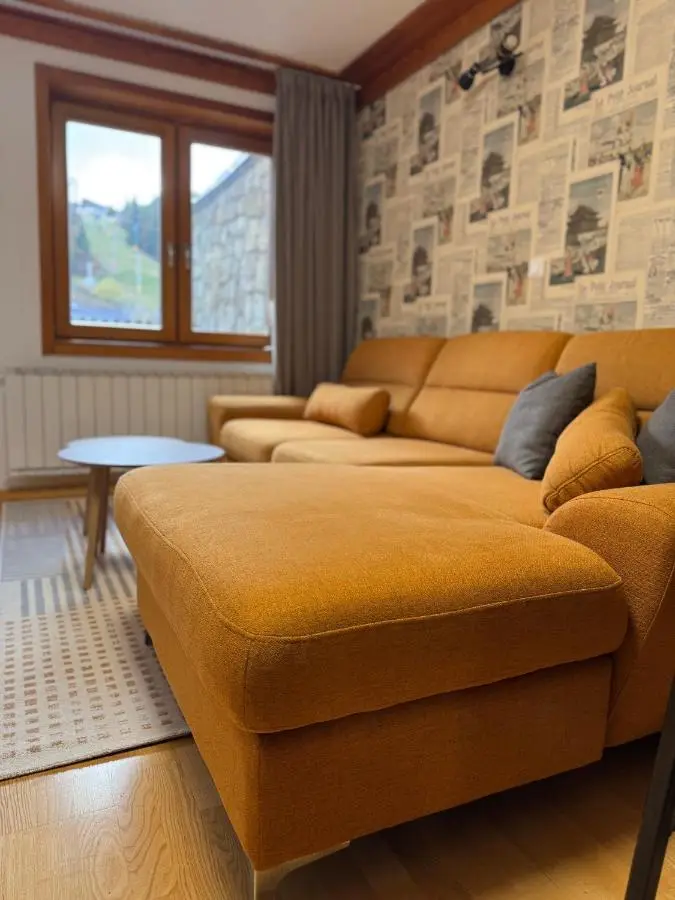 Apartment 122 - Aparthotel Vučko Jahorina - private host