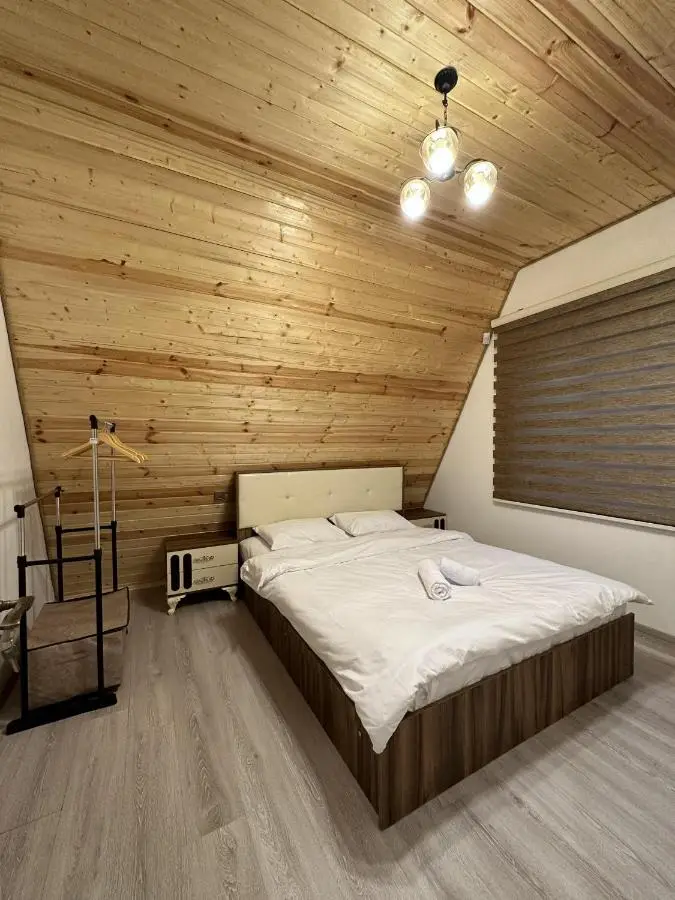 SILAND A Frame House
