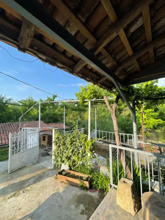 Zaali's wine cellar