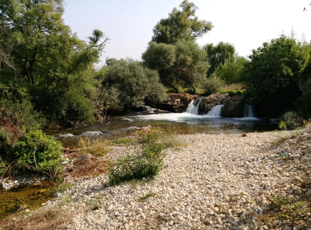 River House Buna