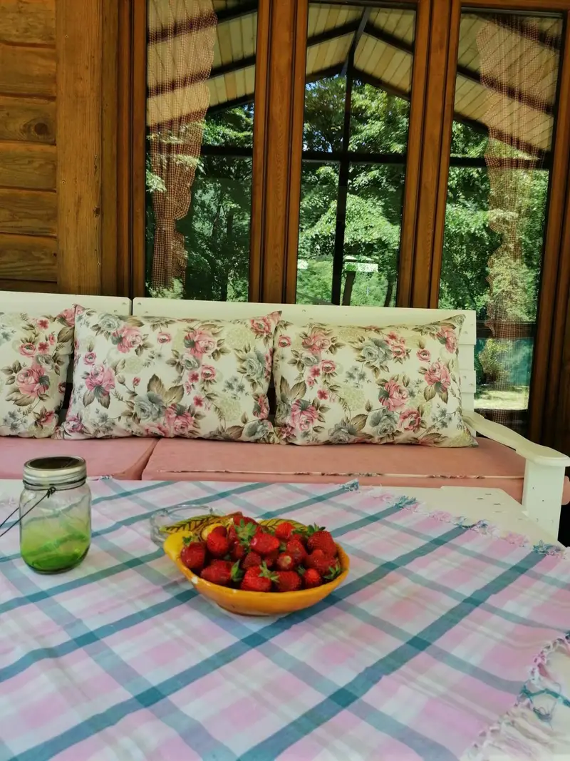 Holiday house "Unica" Lohovo