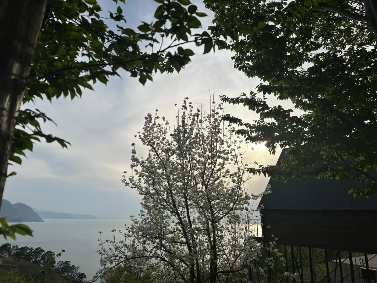 Cottage KOLKHA