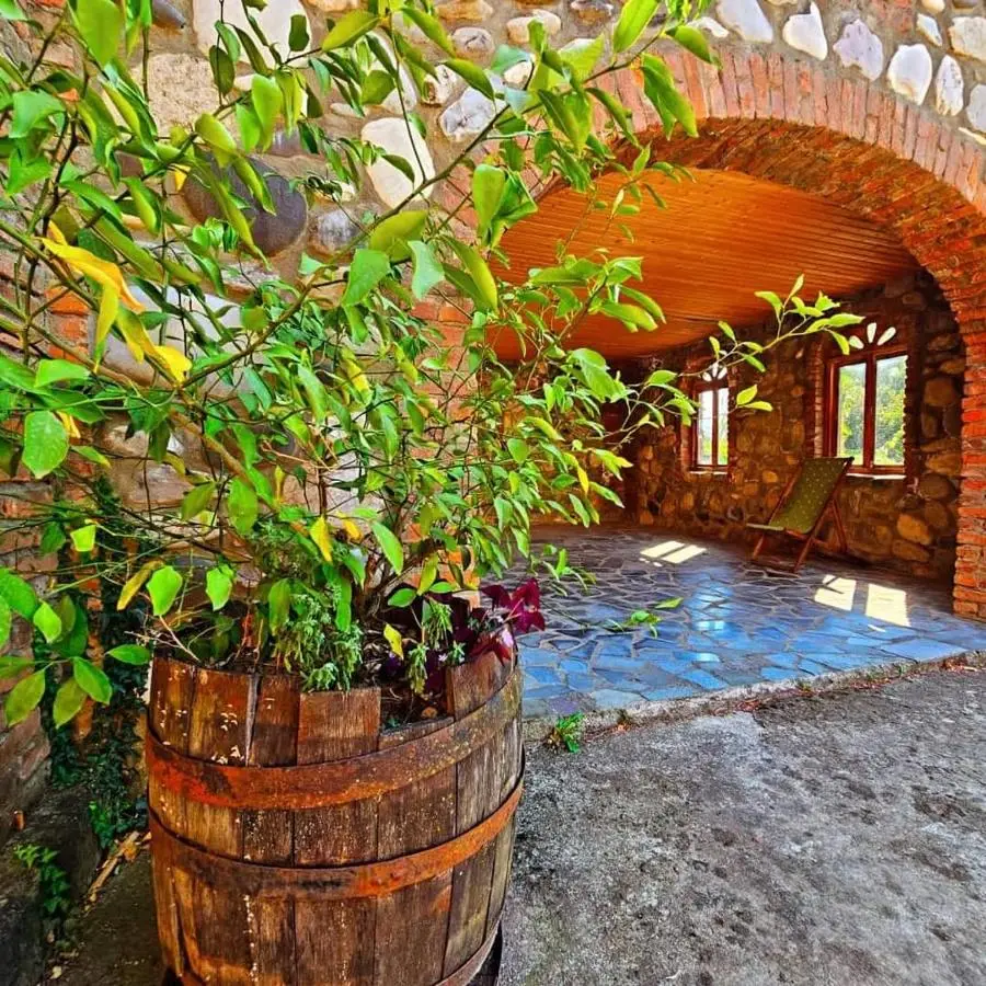 Blue Guest House