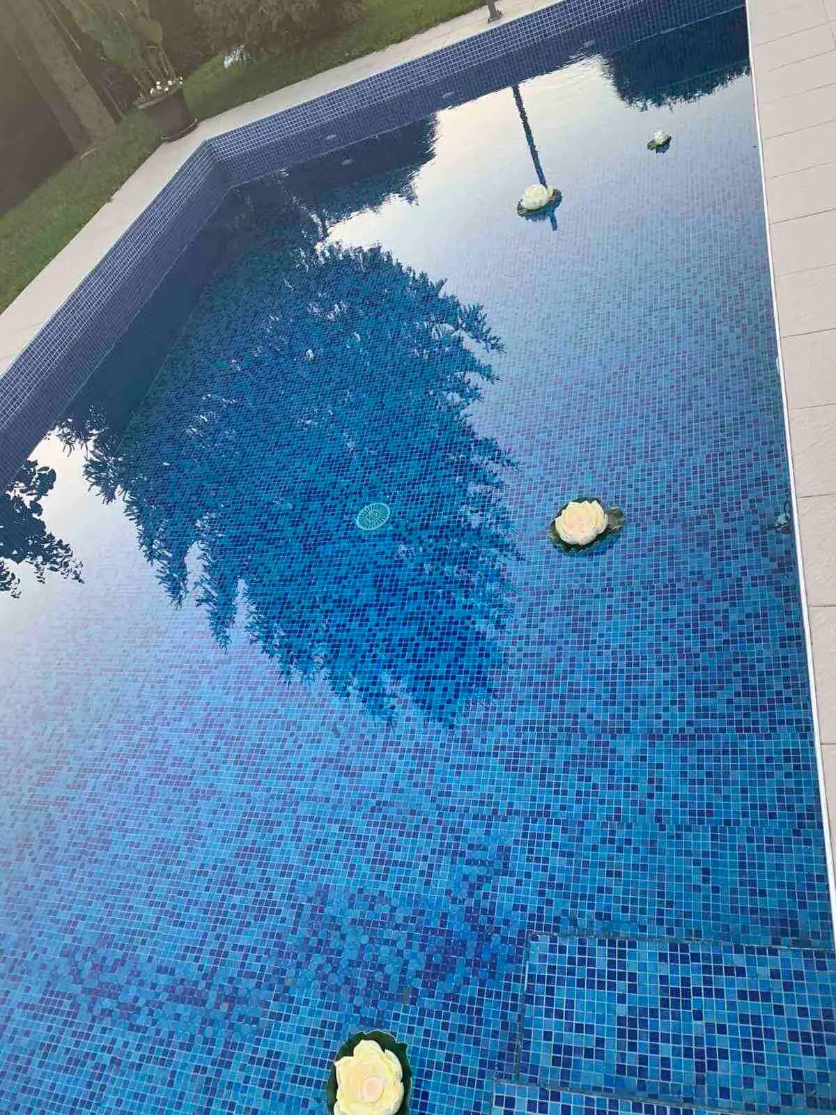House with a swimming pool