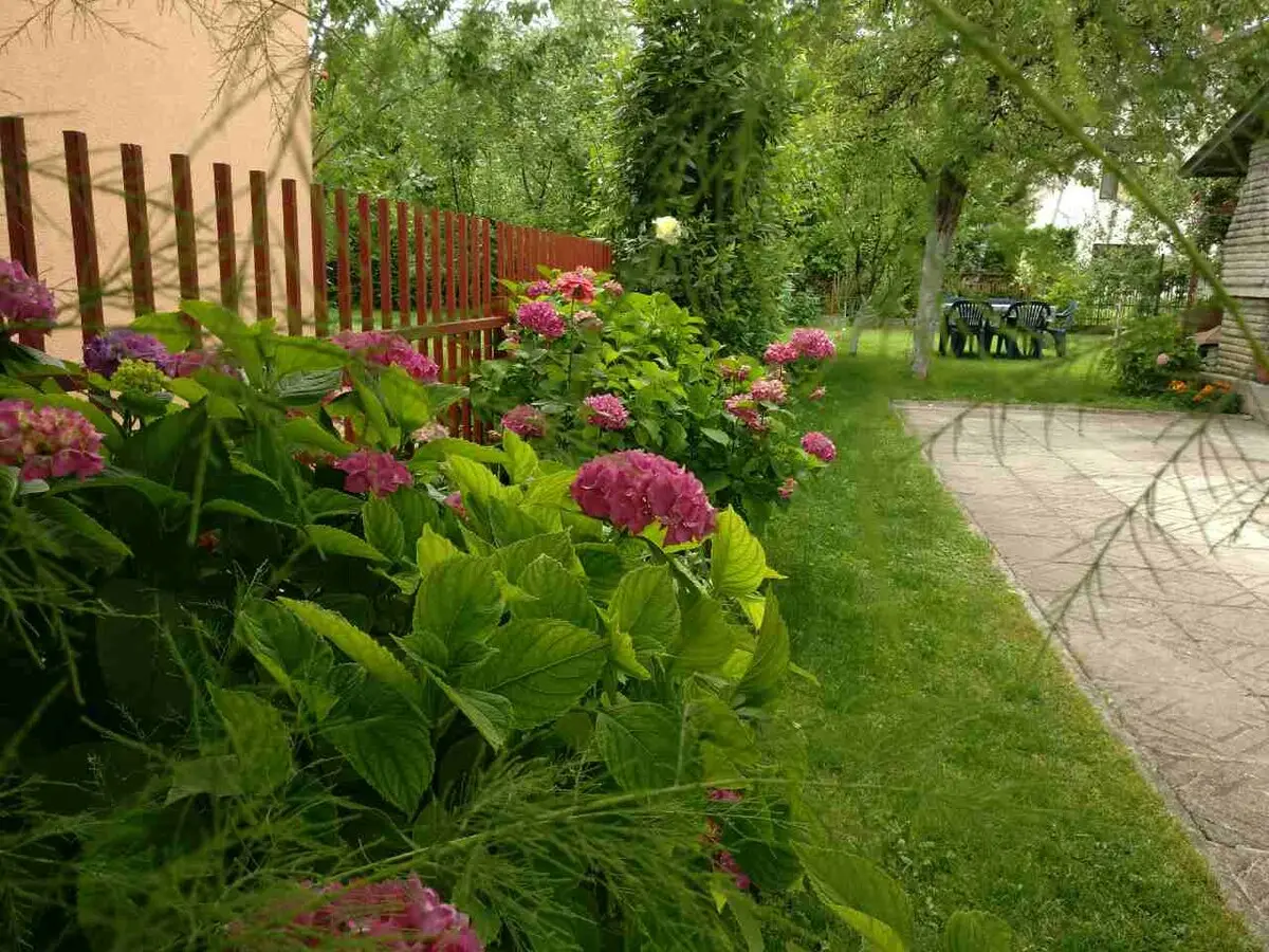 Superior Apartman Zara