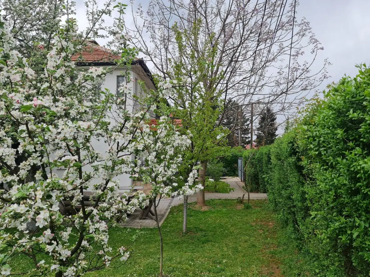 Green Garden Apartment
